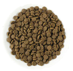 COMPLETE NUTRITION ALL LIFE STAGE GLUTENFREE FRESH MEAT CAT FOOD