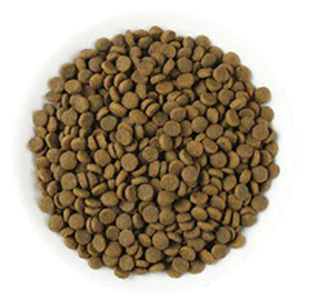 COMPLETE NUTRITION ALL LIFE STAGE GRAIN-FREE CAT FOOD-2