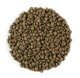 COMPLETE NUTRITION ALLLIFESTAGE CAT FOOD-5